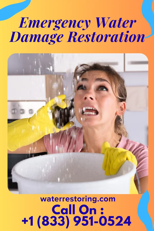 Emergency Water Damage Restoration in Prairie Rose, ND