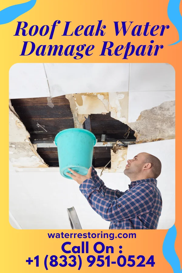 Roof Leak Water Damage Repair in Prairie Rose, ND