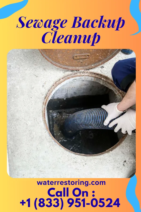 Sewage Backup Cleanup in Prairie Rose, ND
